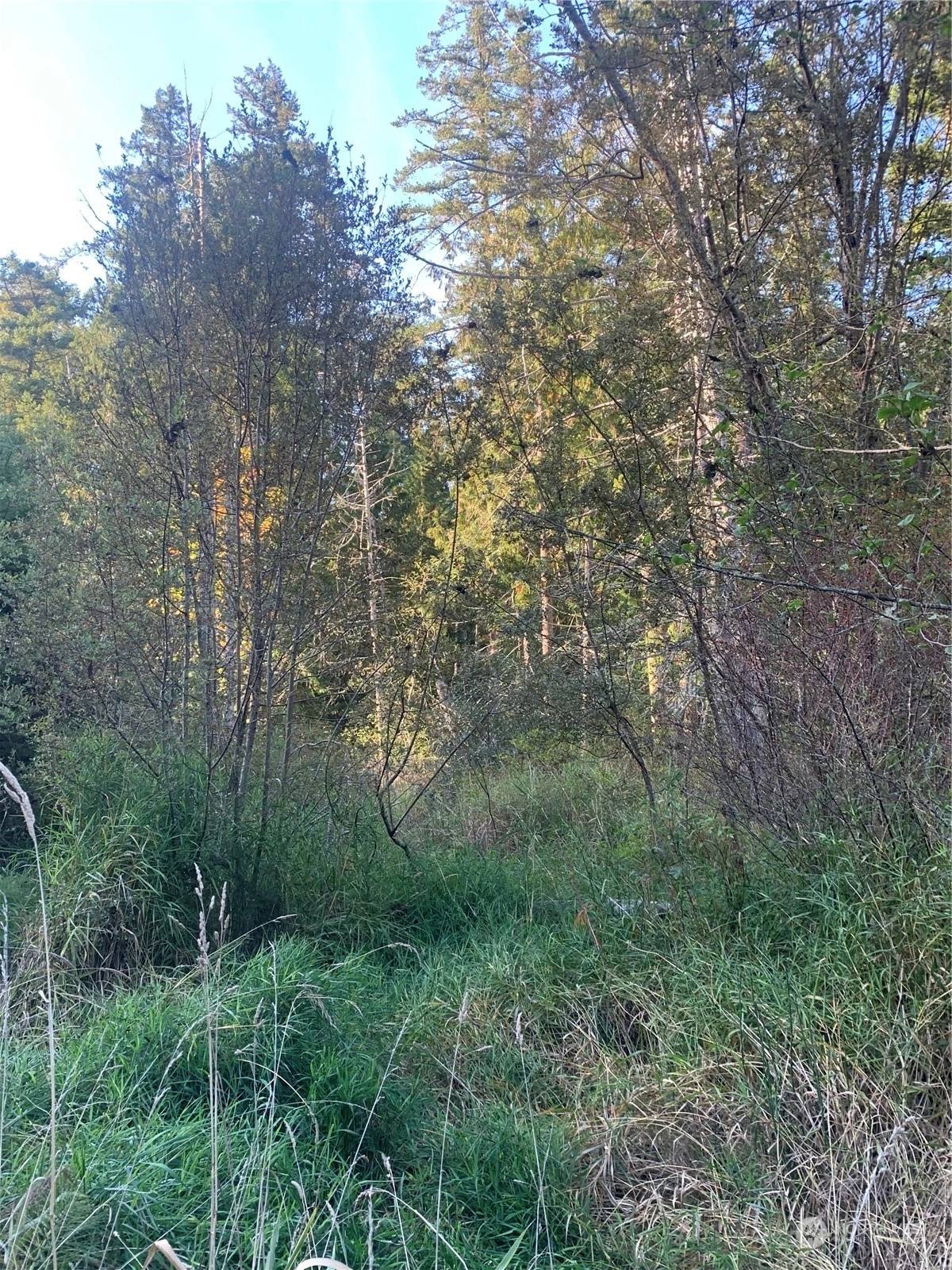30 Harmon Ranch Rd Decatur Island WA 98221