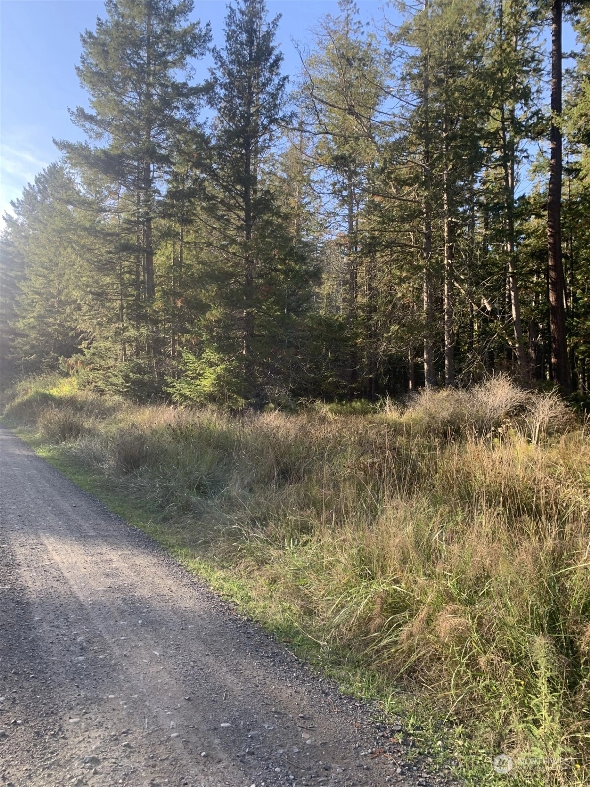 40 Harmon Ranch Rd Decatur Island WA 98221