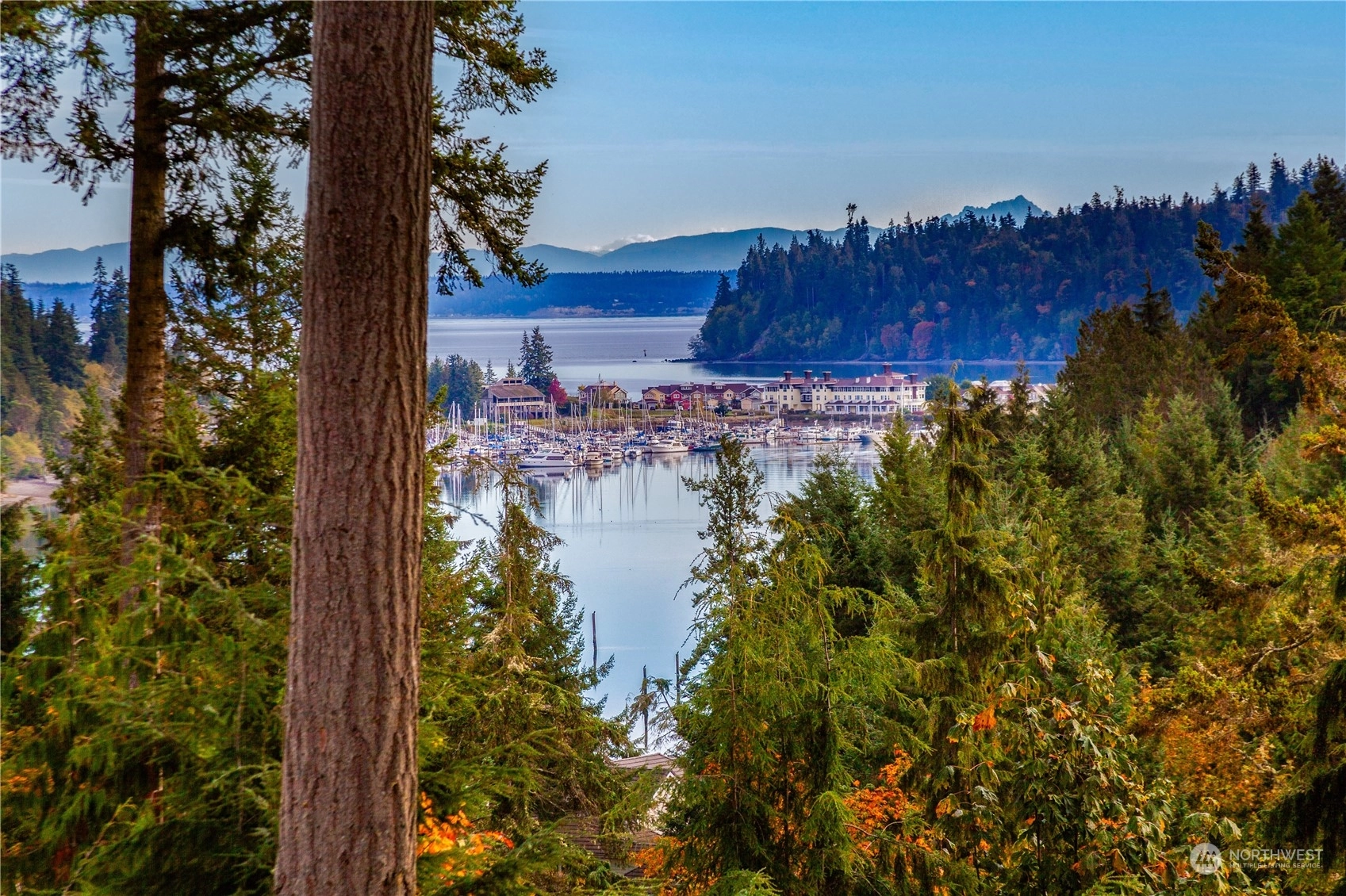 116 Timber Meadow Dr Port Ludlow WA 98365