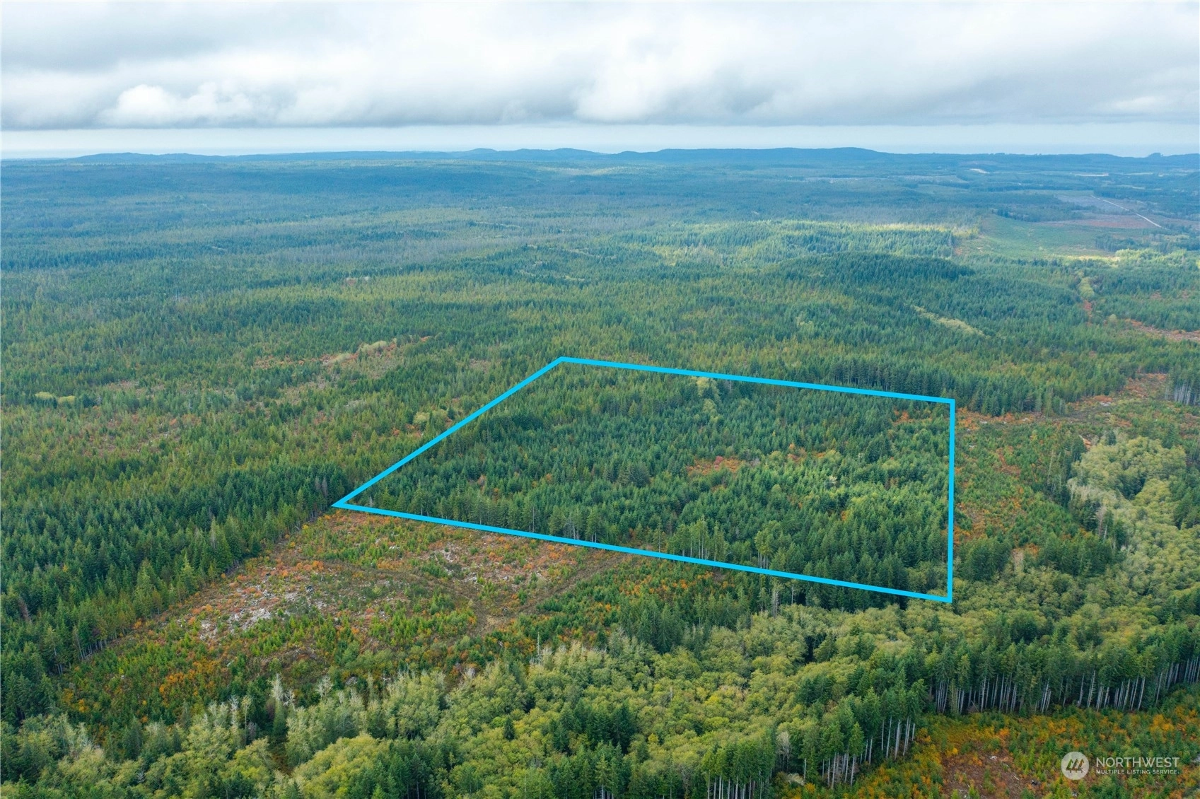 Meadow Creek Quinault WA 98575