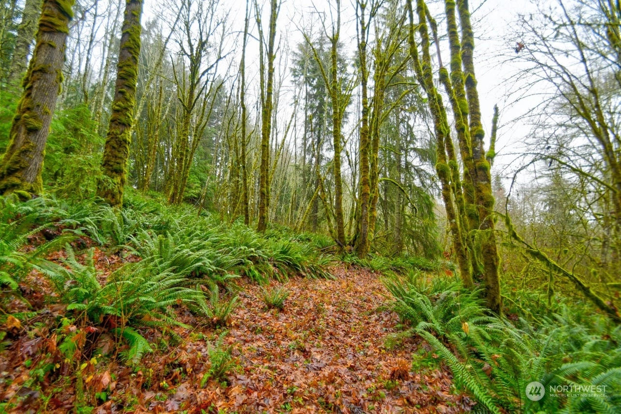Crego Ridge Rd Adna WA 98522