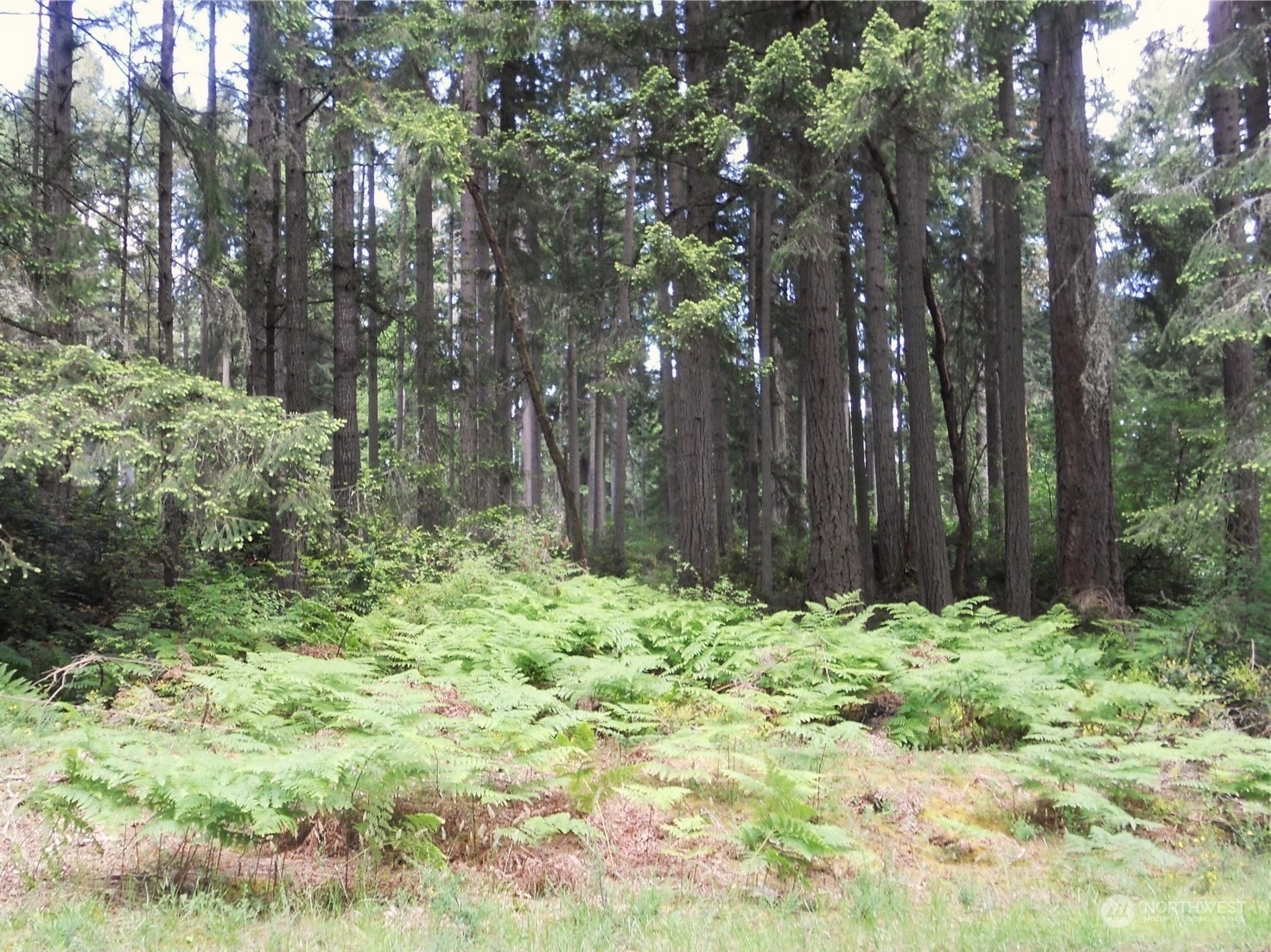 10318 Totem Way Unit  Anderson Island WA 98303