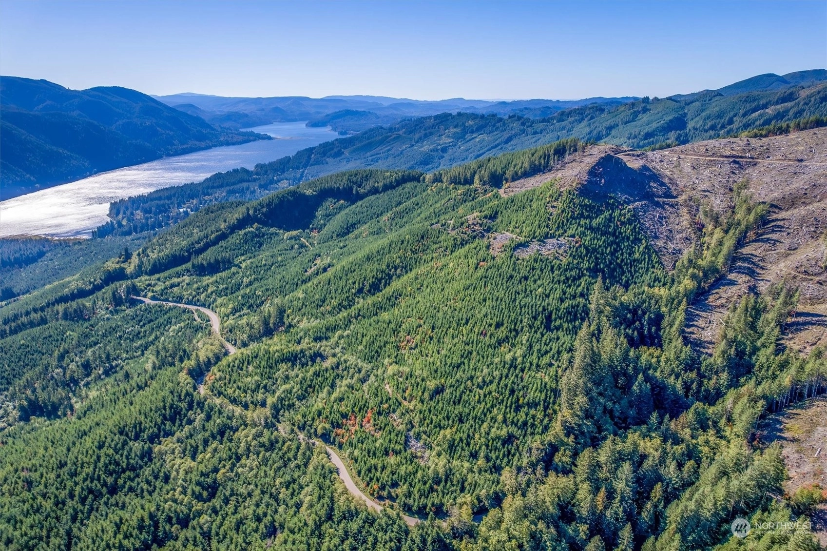 Usfs 81 Rd Cougar WA 98616