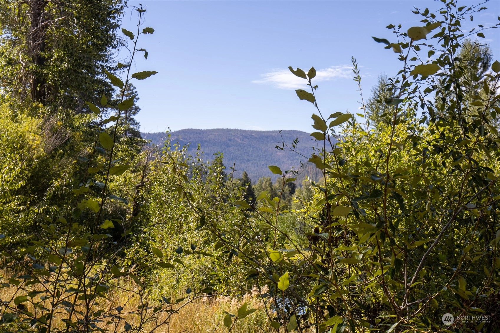 10620 Hwy 410 Naches WA 98937