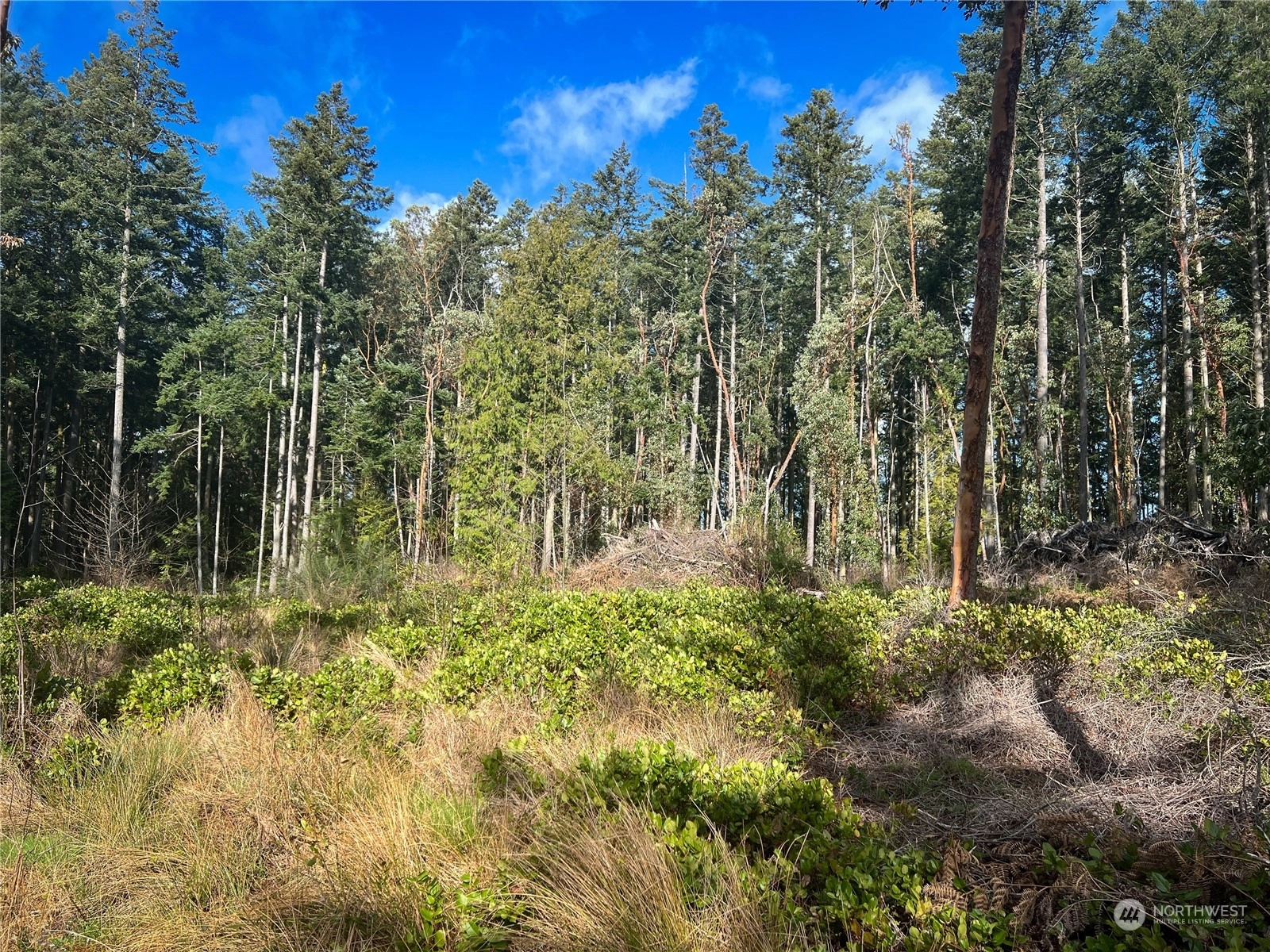90 (TBD) Steelhead Pl Nordland WA 98358