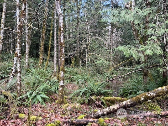 Harmon Rd Adna WA 98522