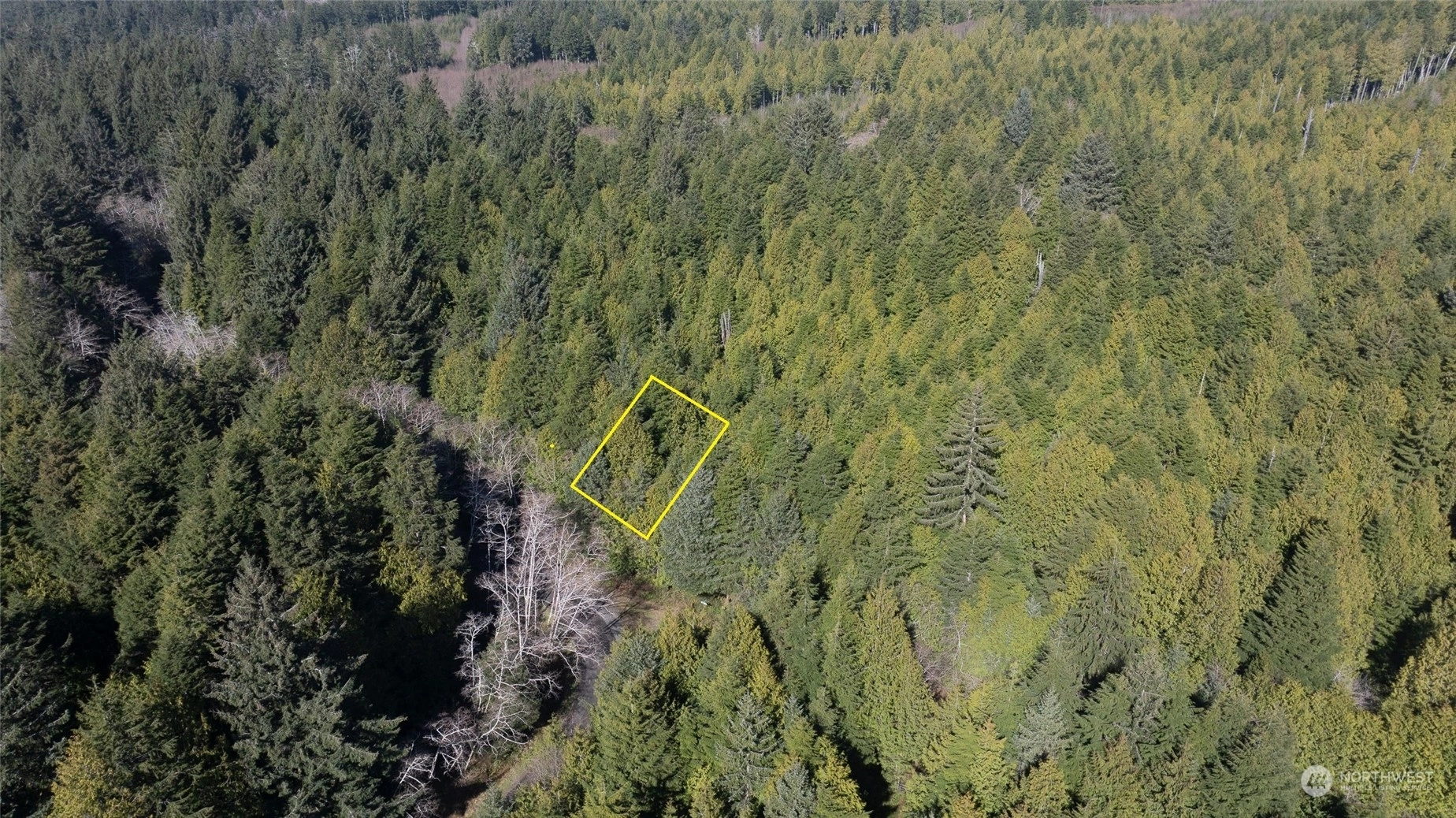 Seaward Dr Unit  Taholah WA 98587