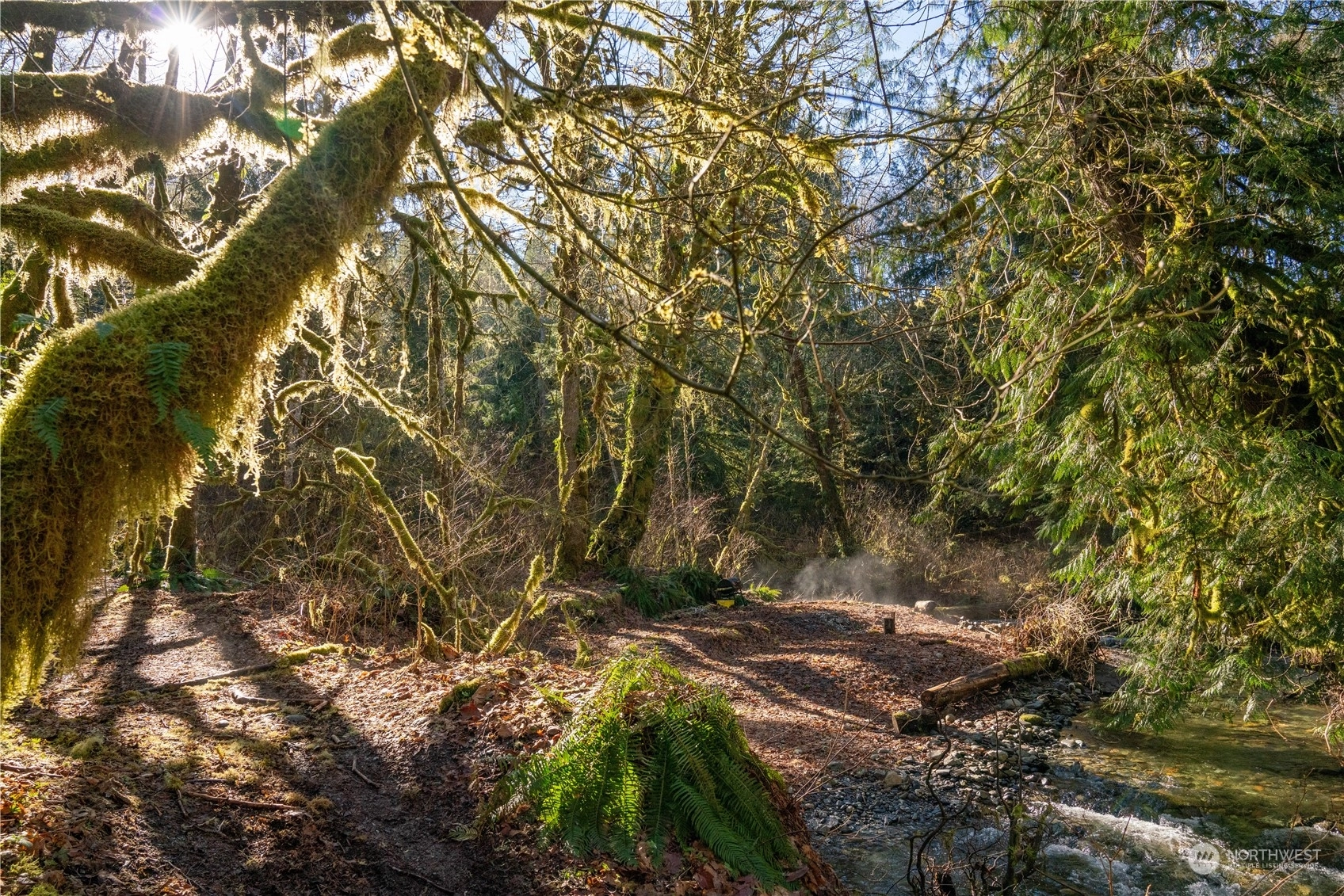 Innis Creek Rd Acme WA 98220