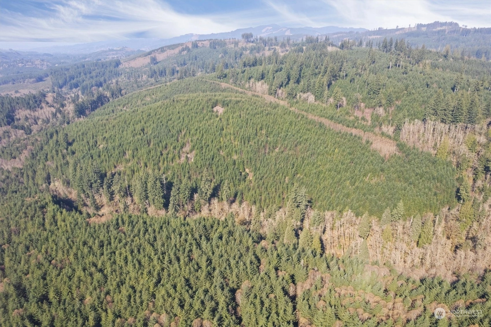 Cedar Mist Rd Amboy WA 98601