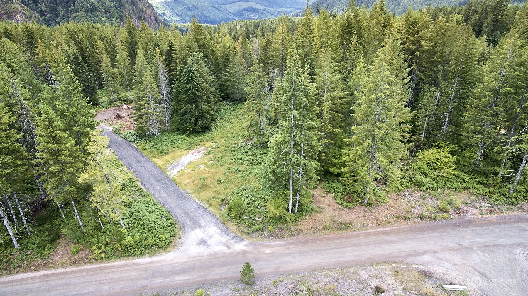 1 Lahar Ln Unit  Cougar WA 98616