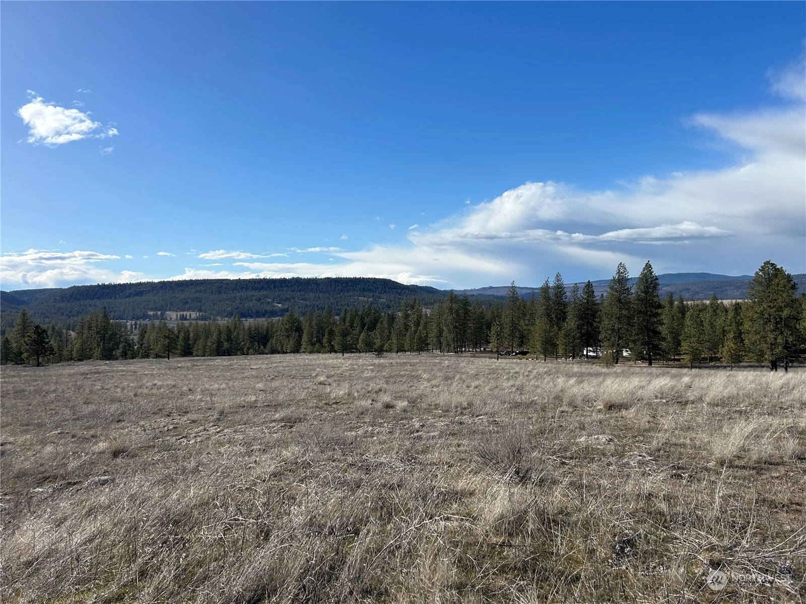 Thompson Ln E Reardan WA 99029