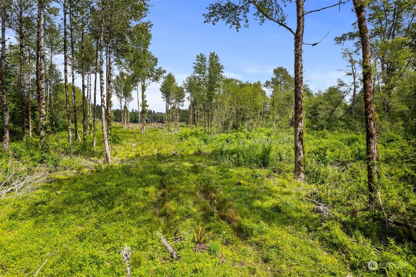 70 Joy Ln Unit 7 Unit 7 Humptulips WA 98552