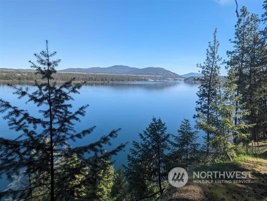 0 XX W Long Lake Rd Ford WA 99013