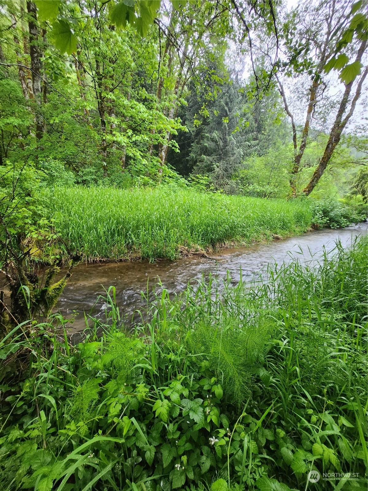 Us Hwy 12 Glenoma WA 98937