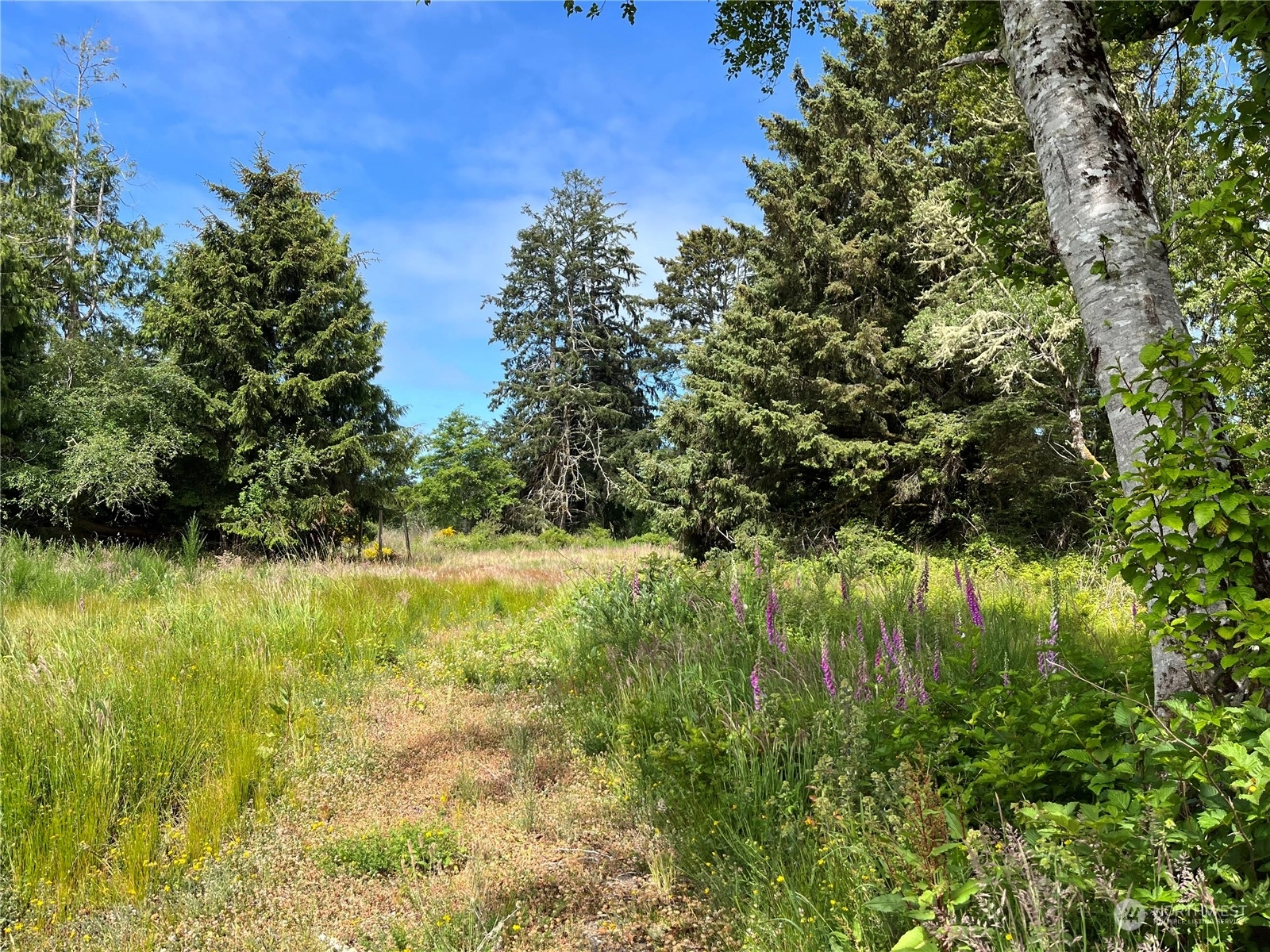 3639 Larkin Rd North Cove WA 98547
