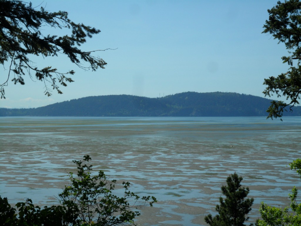 9956 Samish Island Rd Samish Island WA 98232