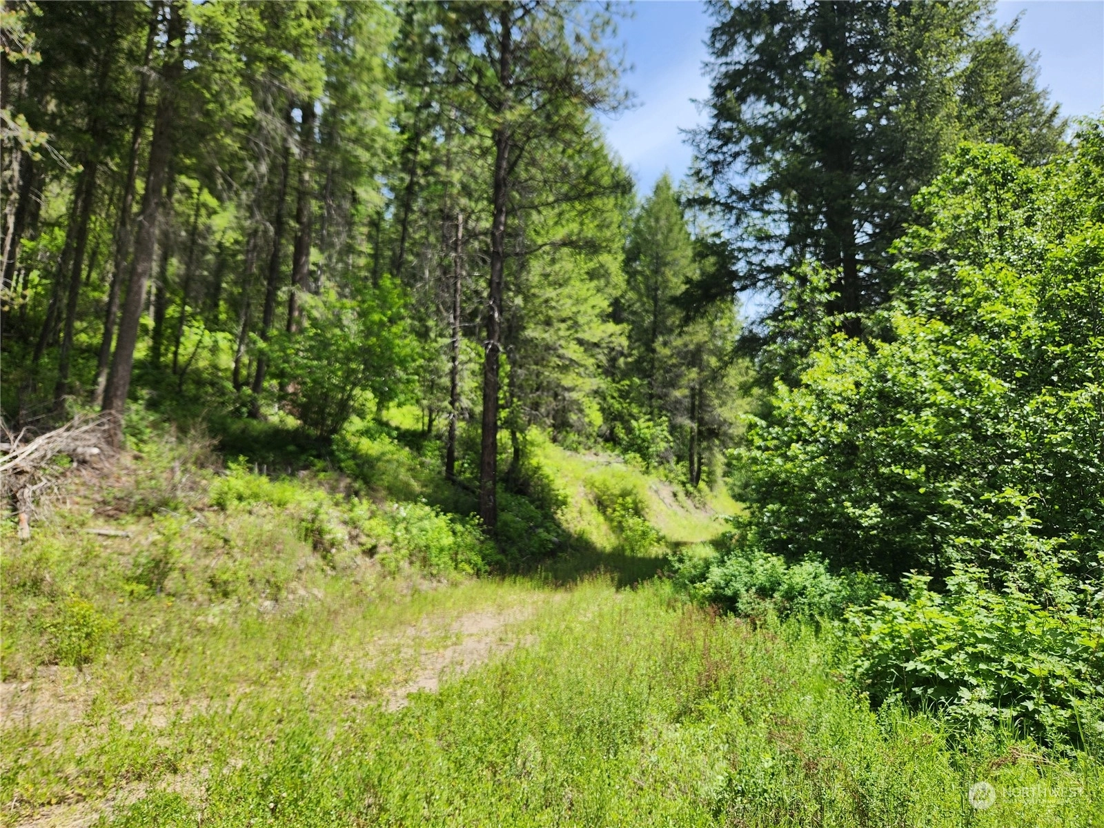 0 TBD Well Creek Rd Keller WA 99140