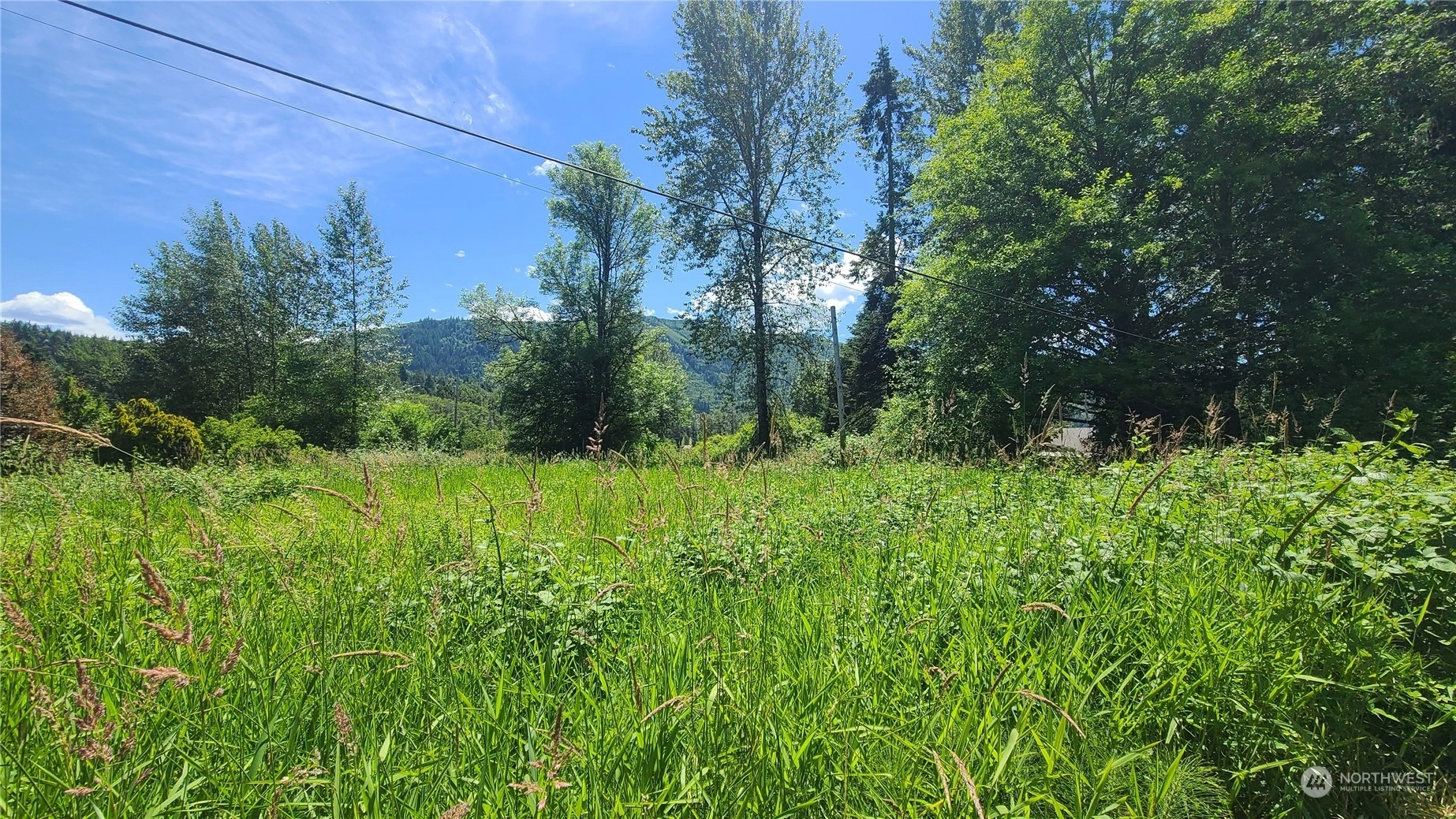 Glenoma Rd Glenoma WA 98336
