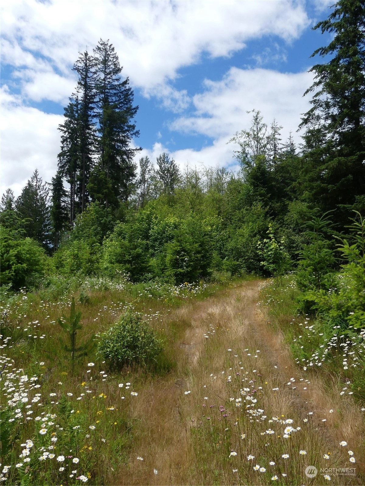 Spencer Rd Salkum WA 98582