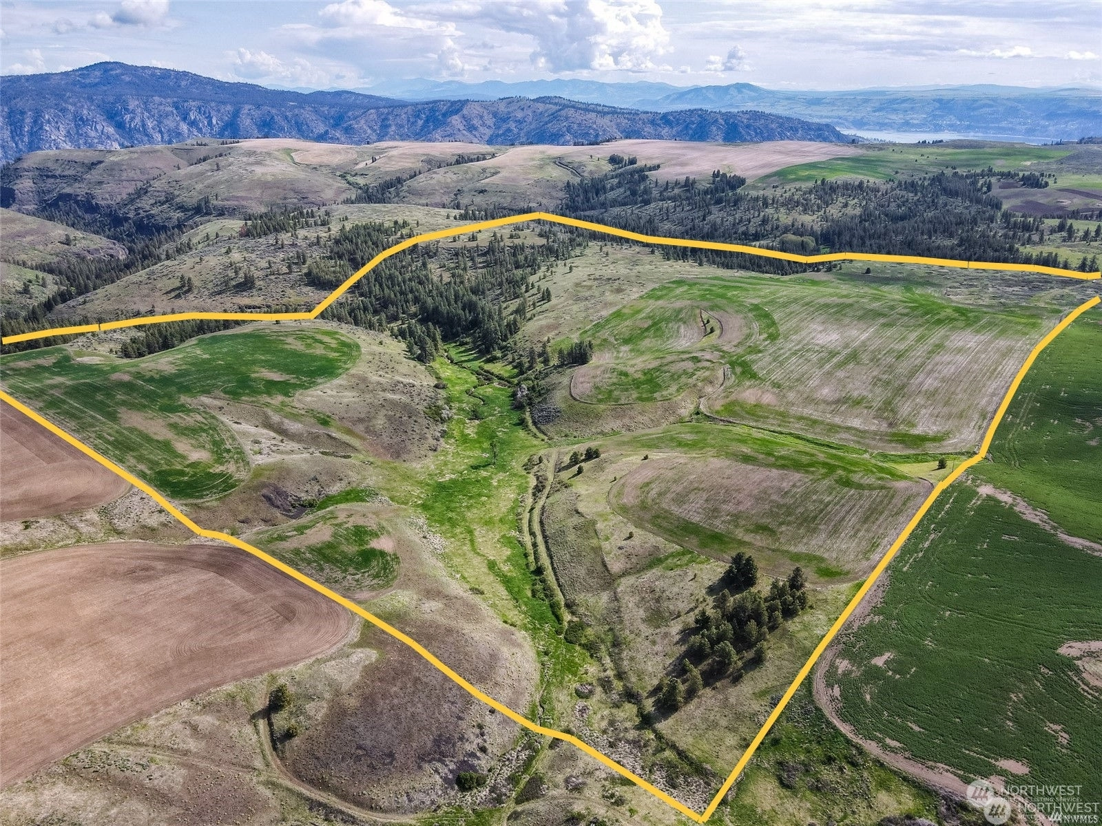 Halverson Canyon Rd Creston WA 99117
