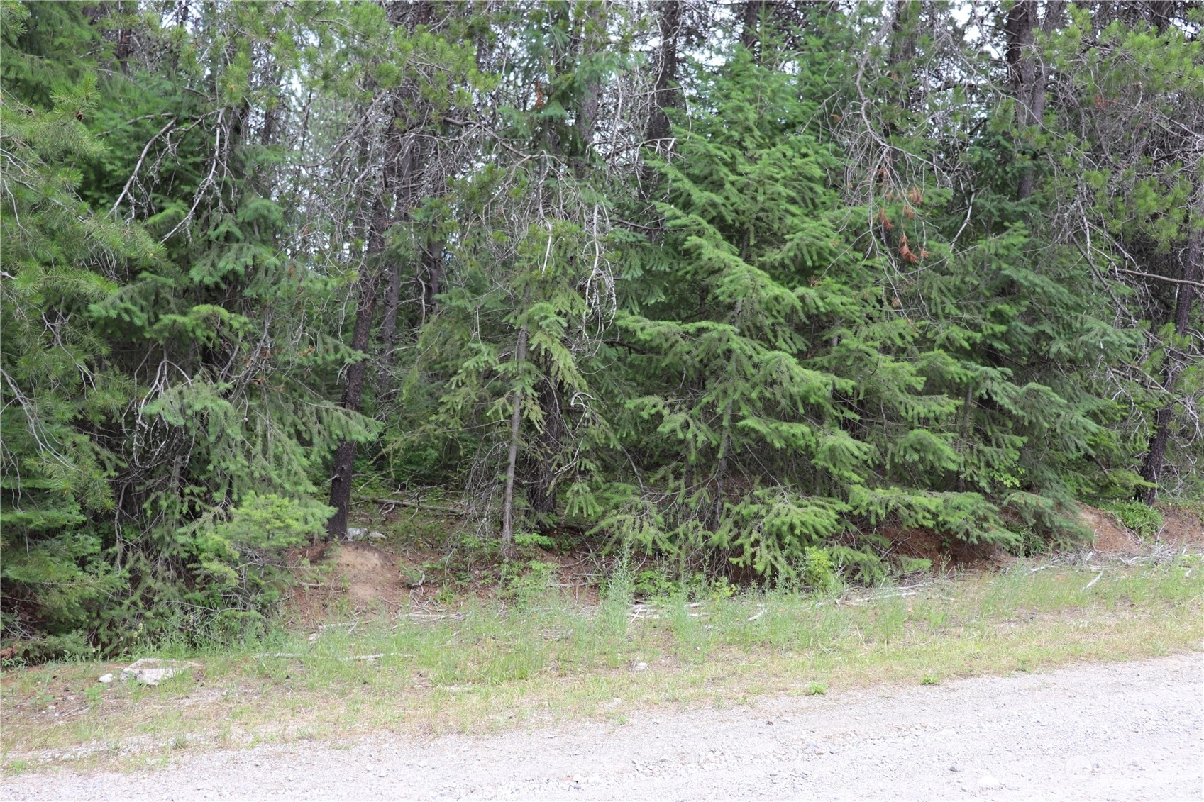 0 Lot 11 Diamond Dr Unit  Newport WA 99156