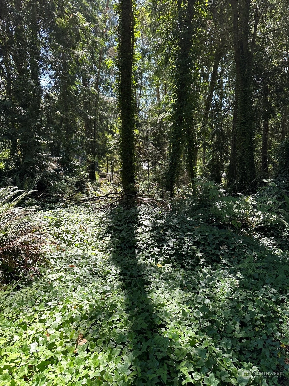 17 Fern St NE Unit  Indianola WA 98342
