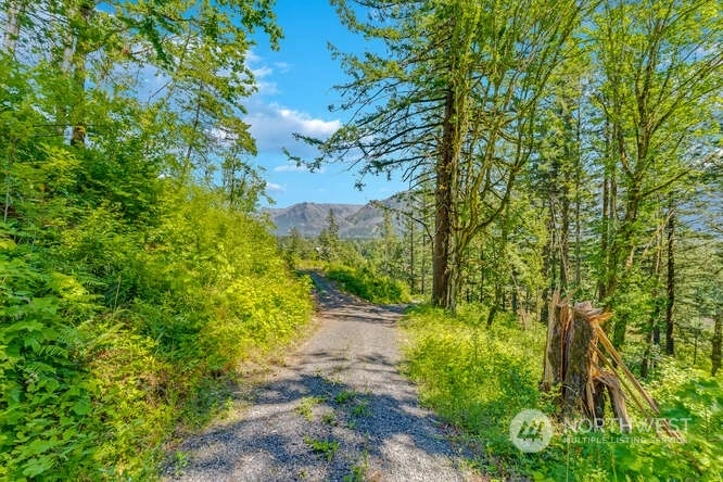 Warren Rd Unit 3 Unit 3 North Bonneville WA 98639