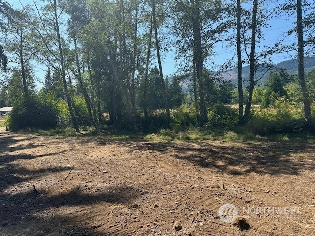 15 Green Belt Dr Joyce WA 98363