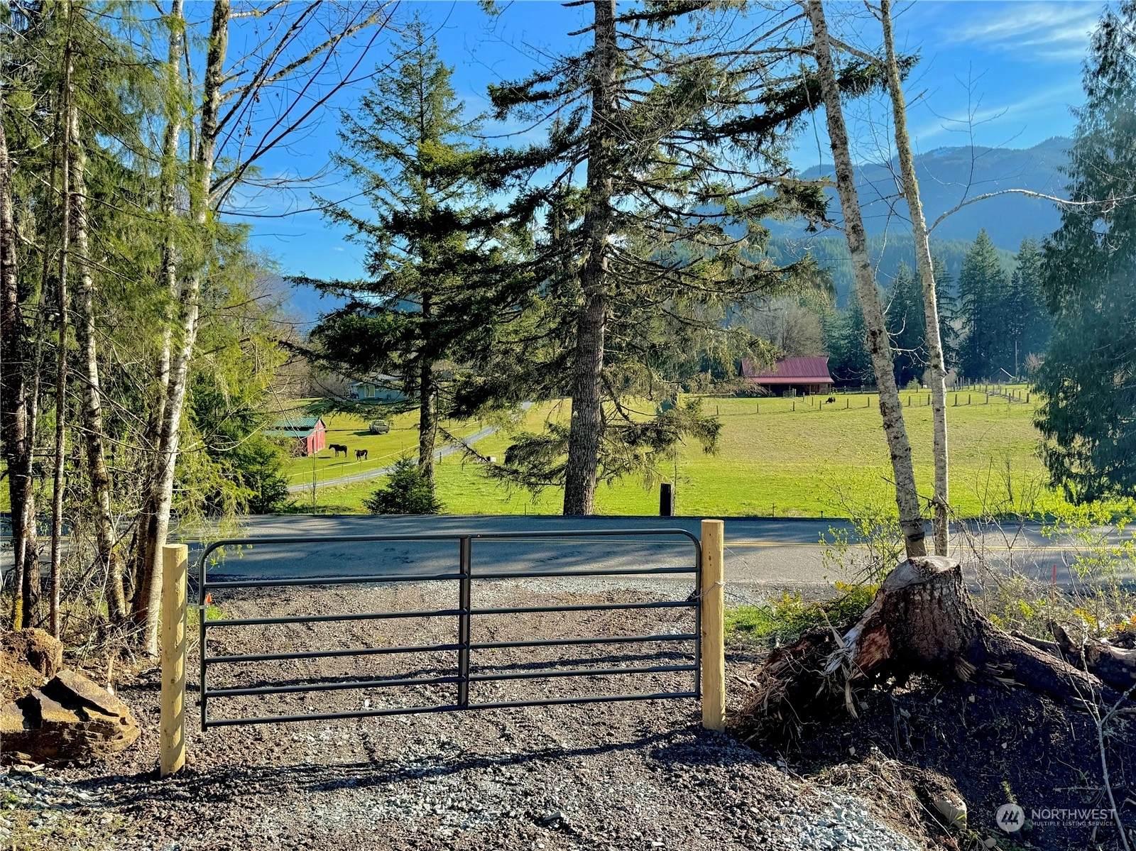324 Mineral Rd N Unit  Mineral WA 98335