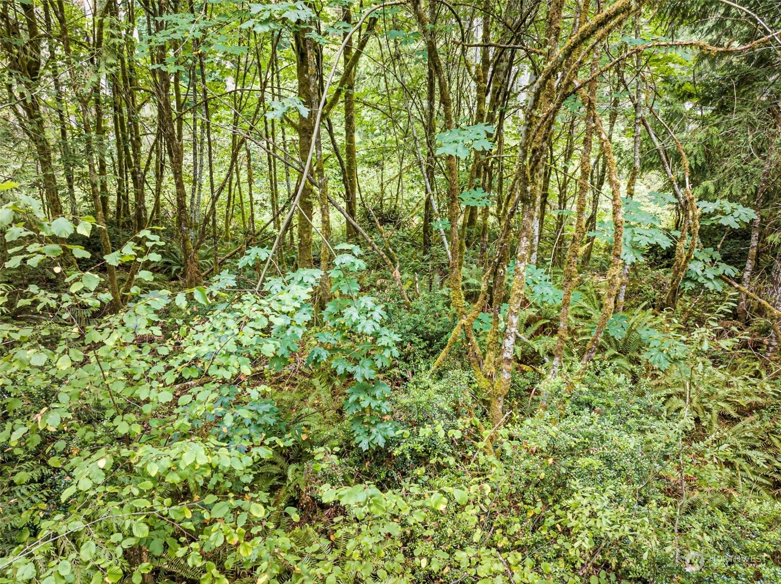 Lackey Rd NW Unit  Vaughn WA 98394