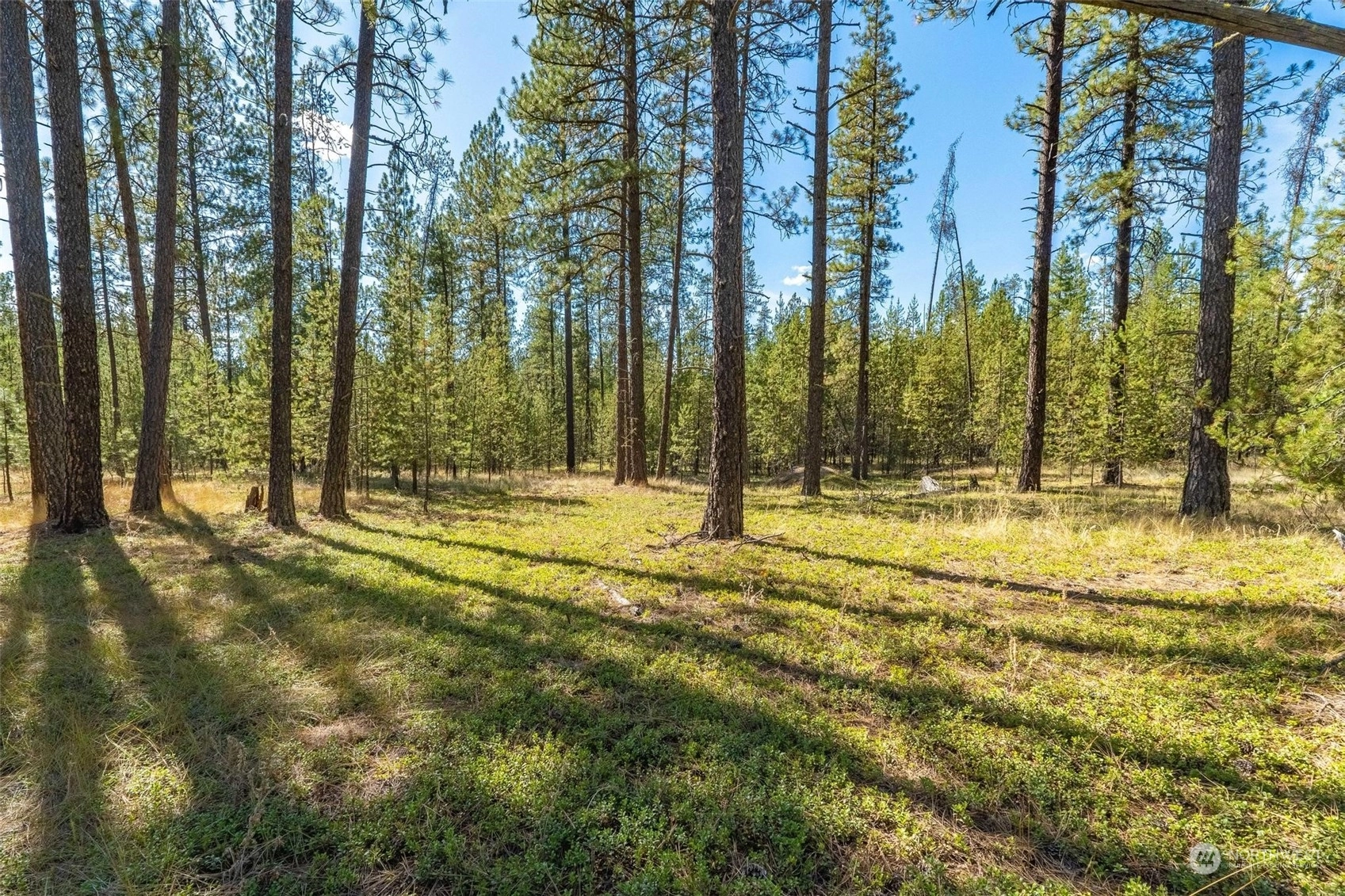 3792 E Jump Off Joe Rd Unit P Unit P Valley WA 99181