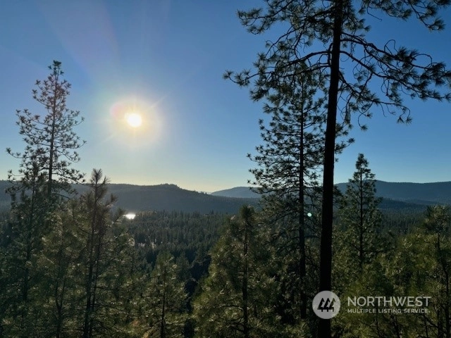 6520 B Pine Ridge Way Unit  Nine Mile Falls WA 99026