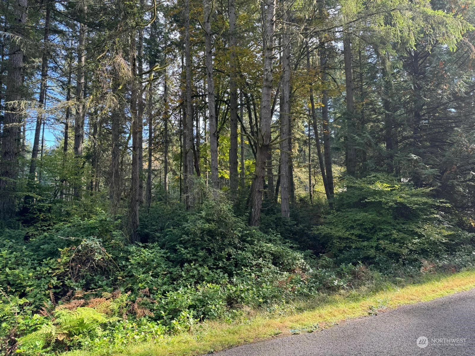 11503 Lake Josephine Ave Unit  Anderson Island WA 98303