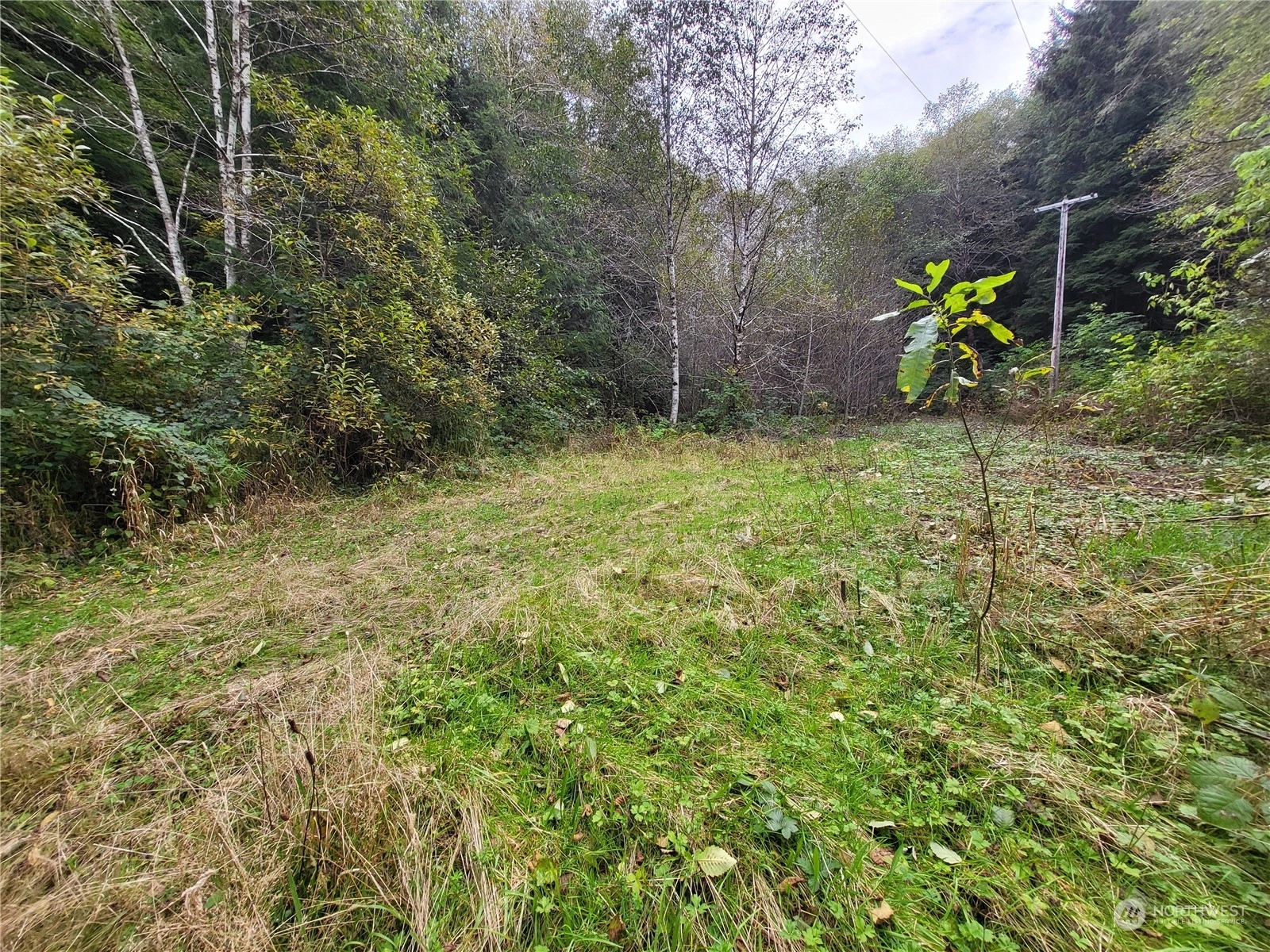 115 Sekiu River Rd Sekiu WA 98381