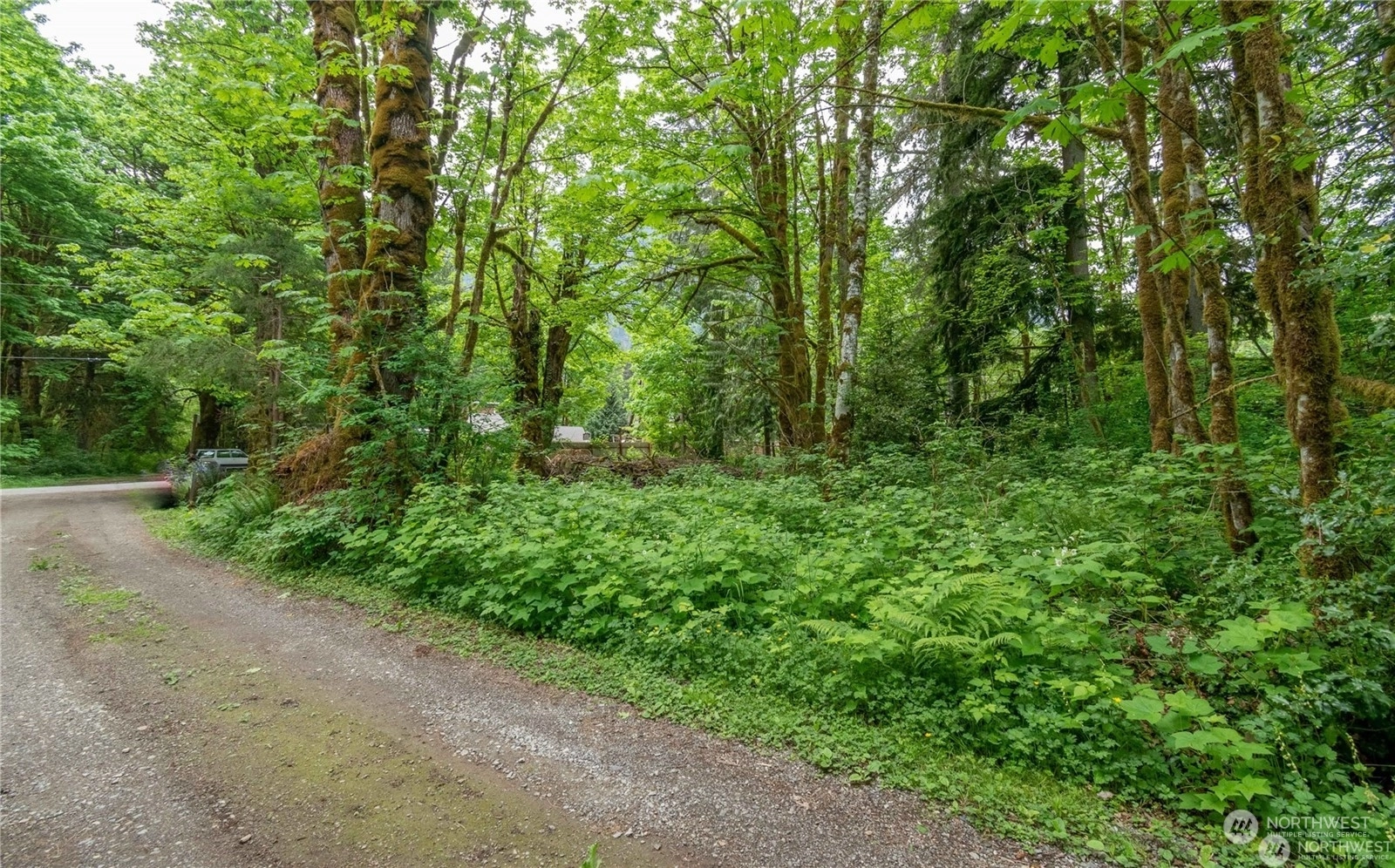 641st Ave NE Baring WA 98224