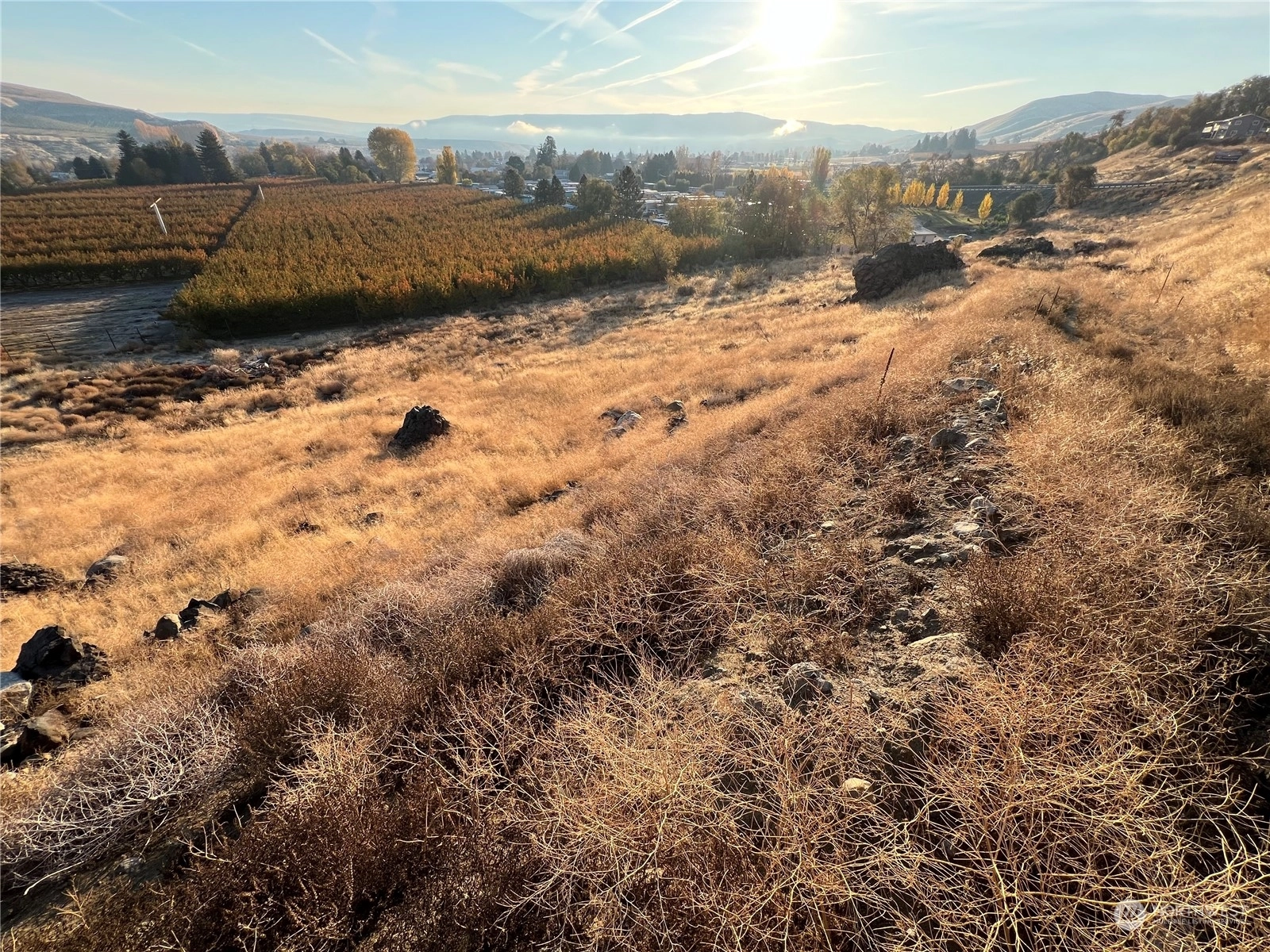 Hwy 173 Unit  Bridgeport WA 98813
