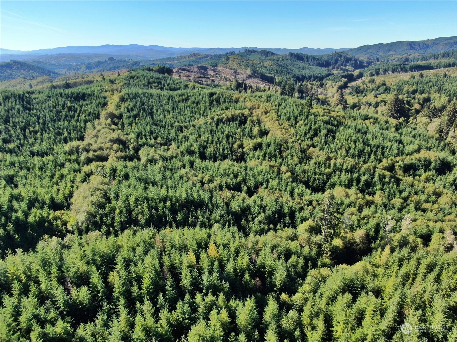 0 Off of Butte Creek Rd Raymond WA 98577