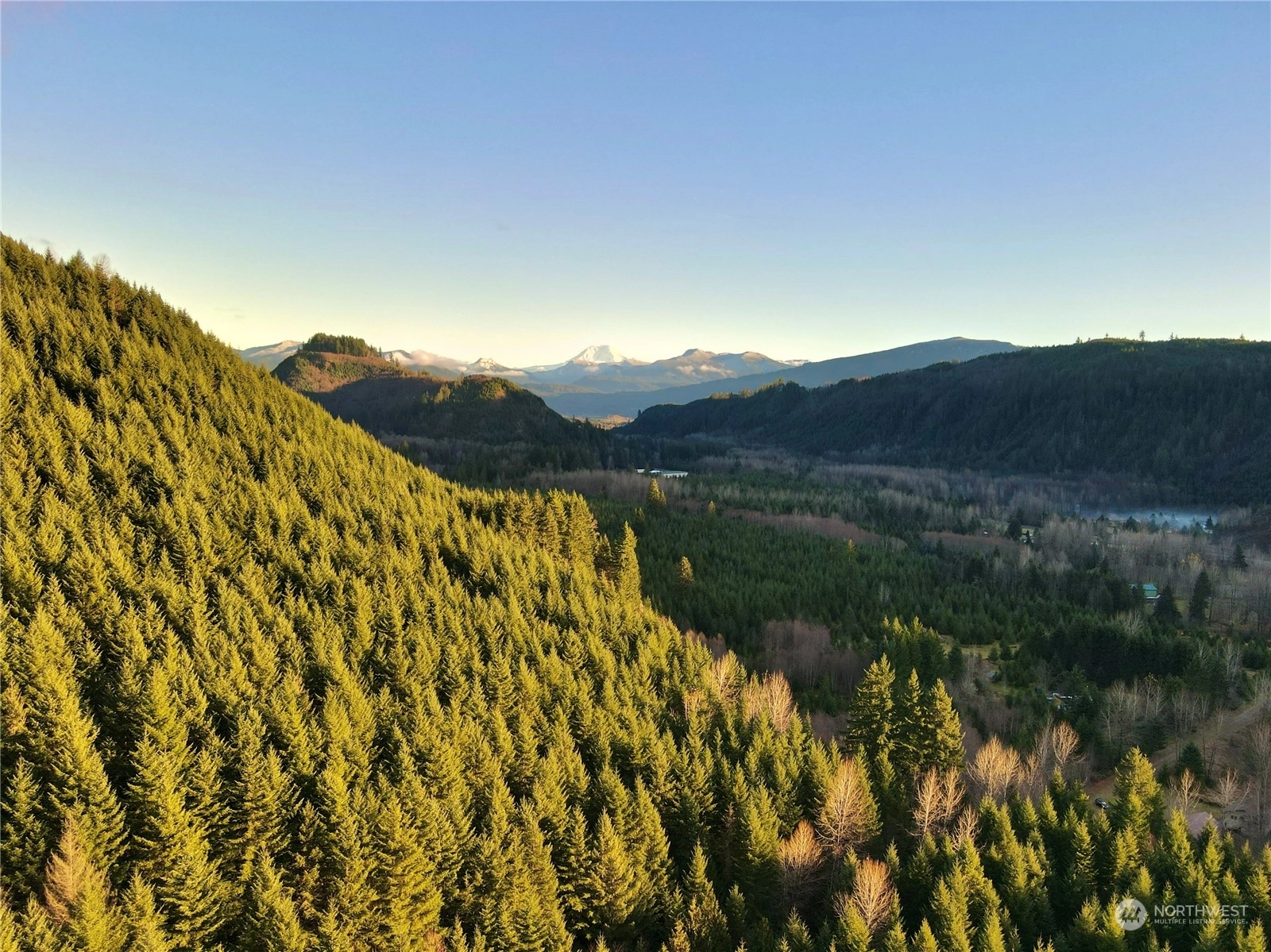 127 Scott Rd Glenoma WA 98336