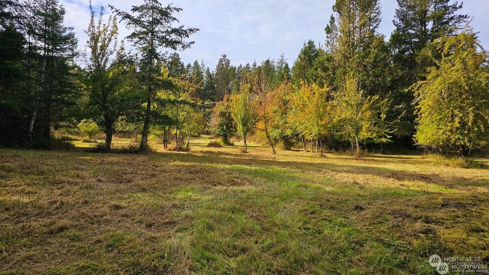 Prohaska Rd San Juan Island WA 98250