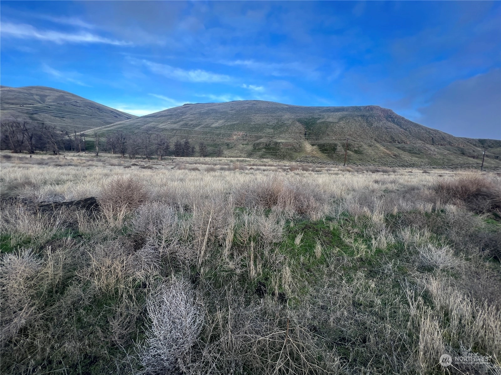 0 Lot 4 Grendahl Ln Starbuck WA 99359