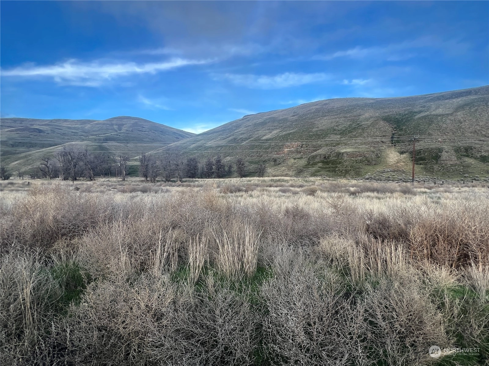 0 Lot 6 Grendahl Ln Starbuck WA 99359