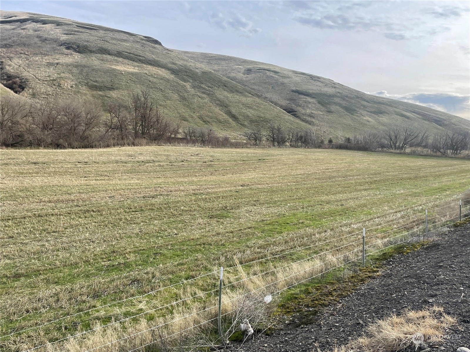 Lot 3 Kellogg Hollow Rd Dayton WA 99328