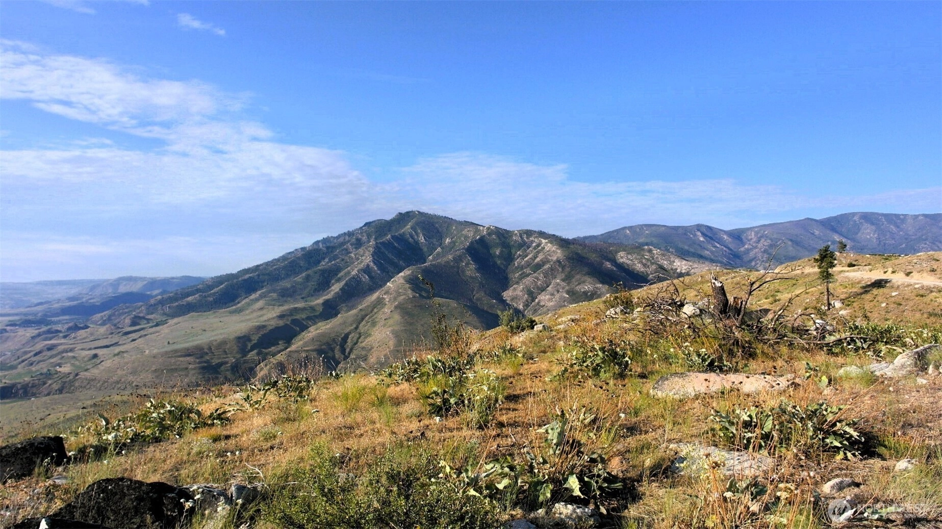 44 Sky Ridge Rd Unit  Methow WA 98834