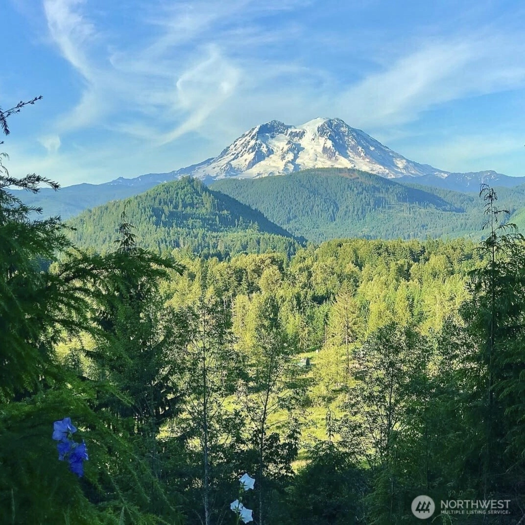 107 Emmons Dr Mineral WA 98355