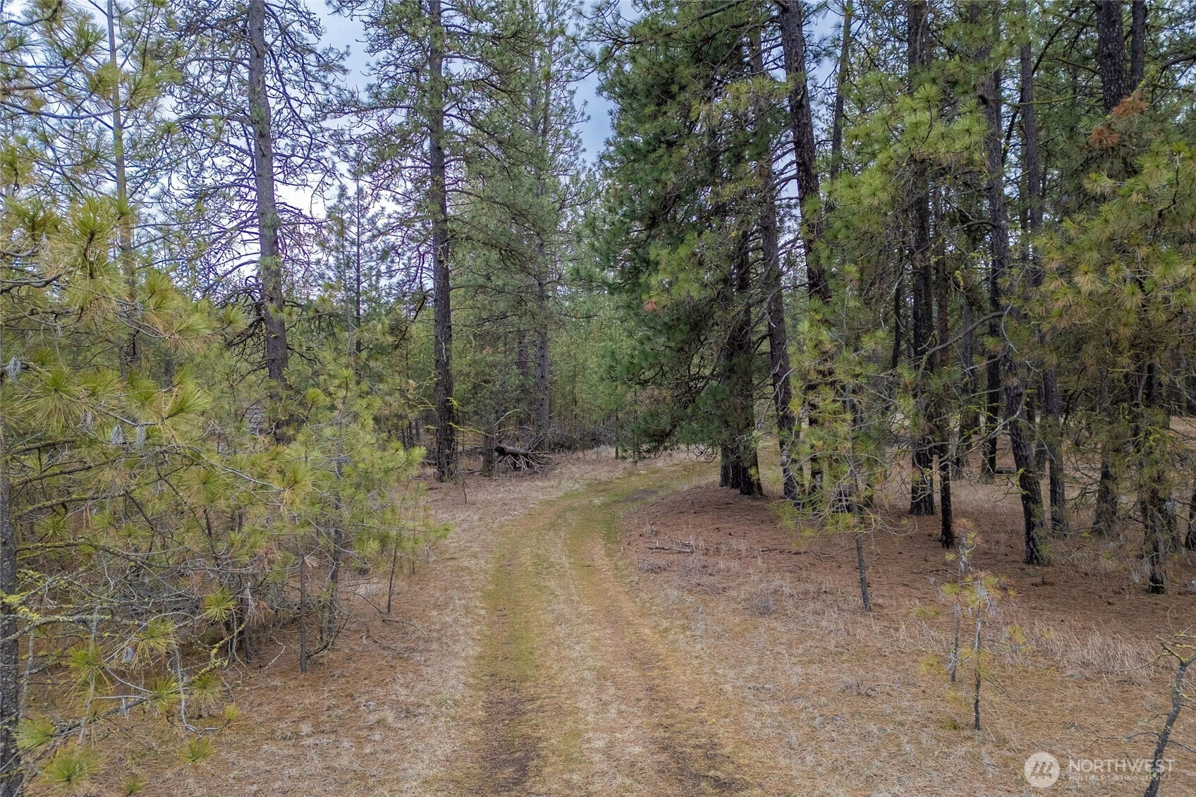 8700 Stangland S Medical Lake WA 99022
