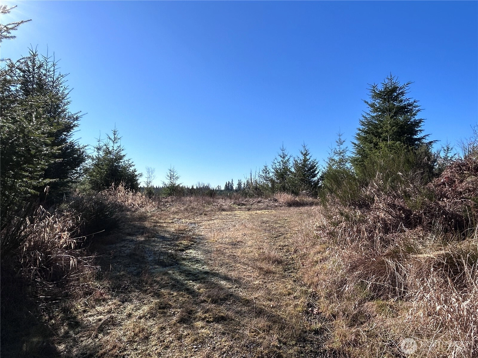 0 NKA Salmon Creek Rd Toledo WA 98591
