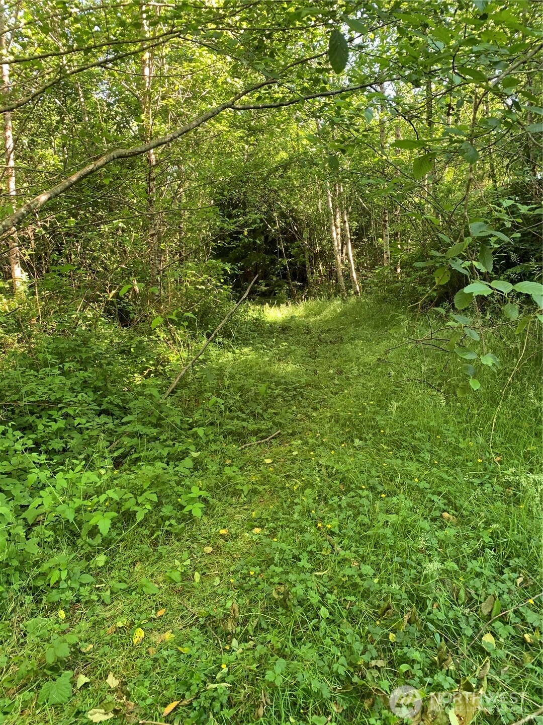 2 Tract Parpala Rd Unit  Naselle WA 98638