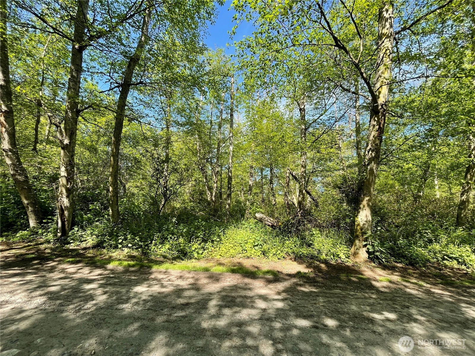 89 F Tulalip Way Unit  Hat Island WA 98206