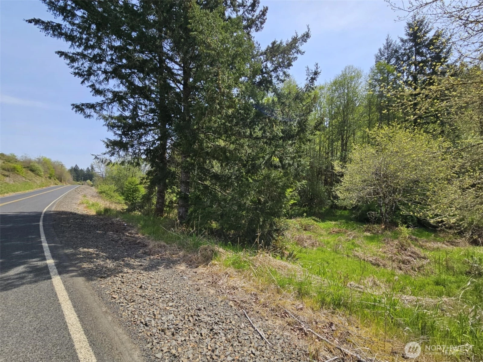 Lost Valley Rd Boistfort WA 98532
