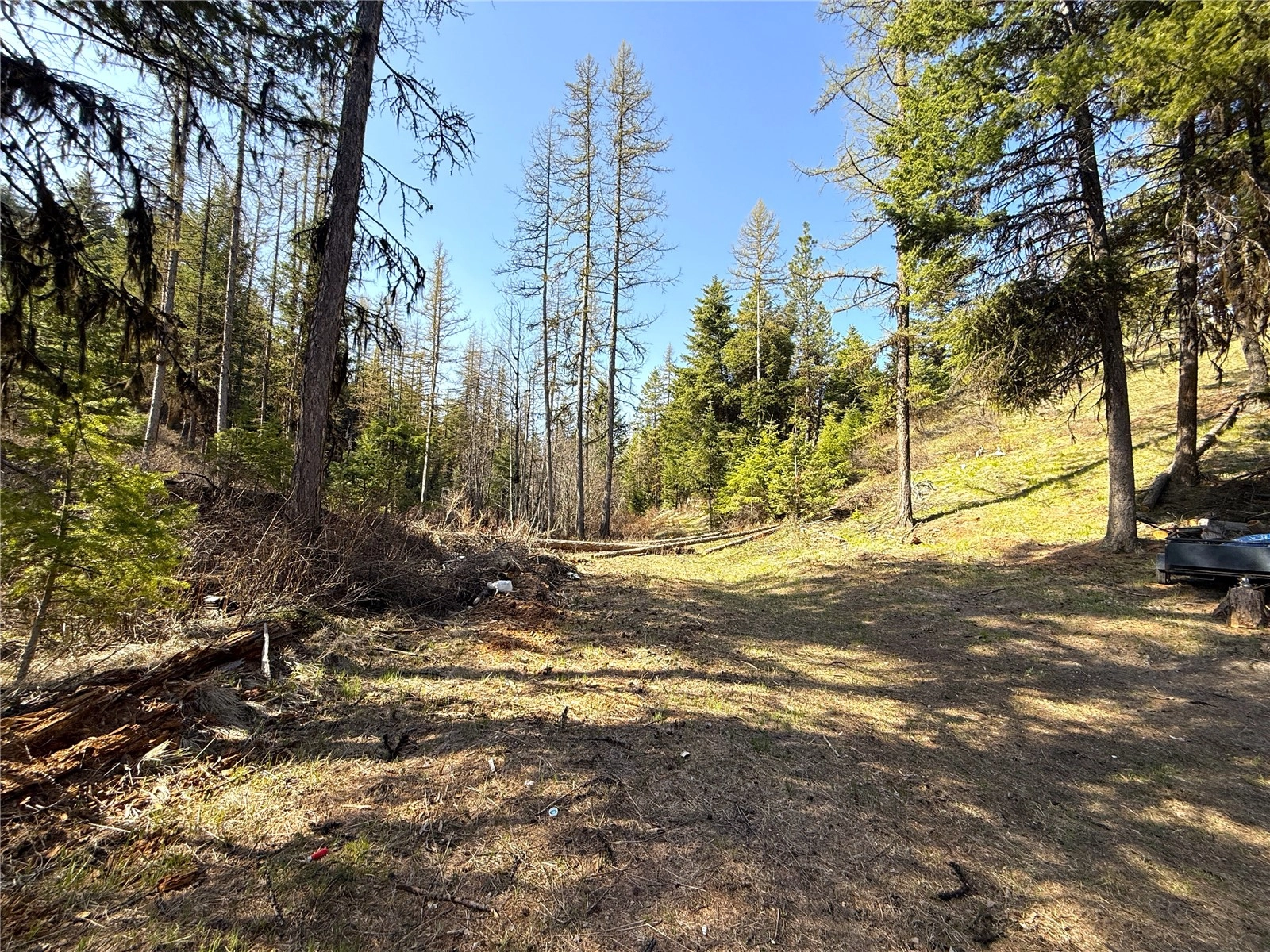 0 TBD Give Out Creek Rd Wauconda WA 98859